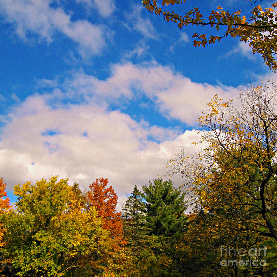 The Changing Colors Of Fall - Square Photograph