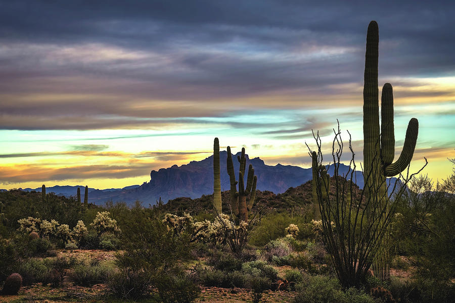 The Changing Colors Of The Desert Photograph By Saija Lehtonen - Fine 