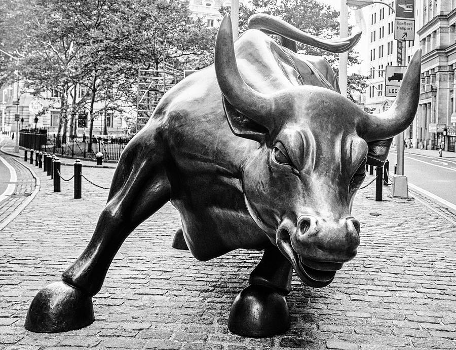 The Charging Bull Photograph by Joseph S Giacalone