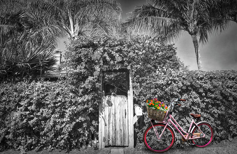 The Charm of a Garden Gate in Black and White with Selected Colo Photograph by Debra and Dave Vanderlaan