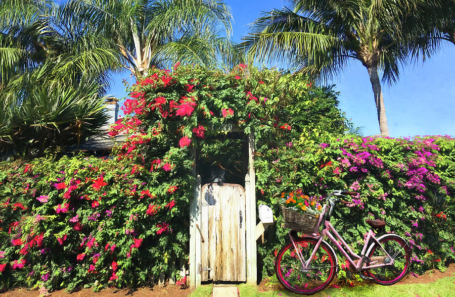 The Charm of a Garden Gate Painting Photograph by Debra and Dave Vanderlaan