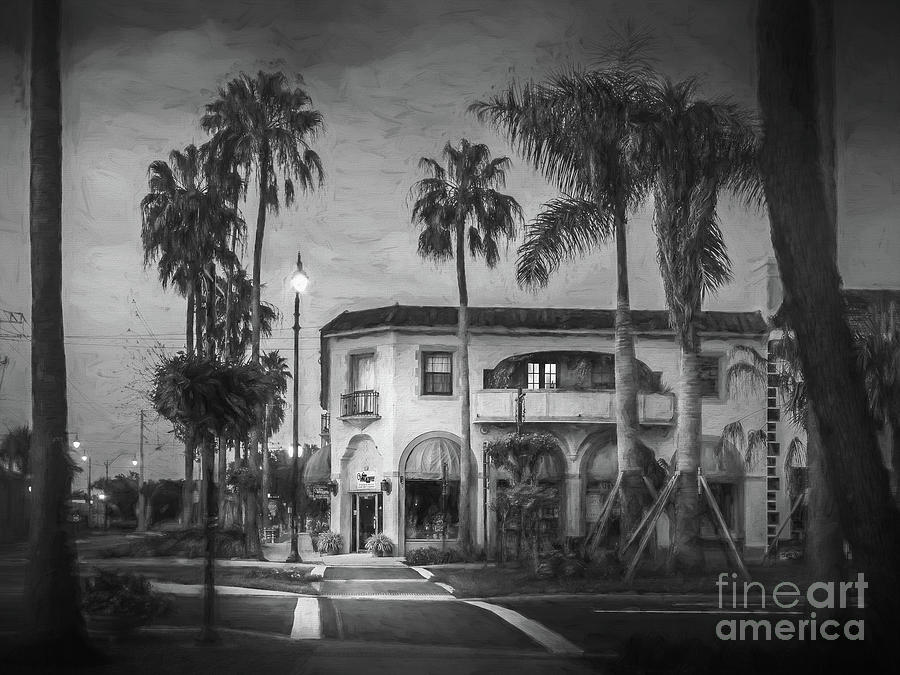 The Charm of Venice, Florida 2, Painterly Painterly, BW Photograph by Liesl Walsh