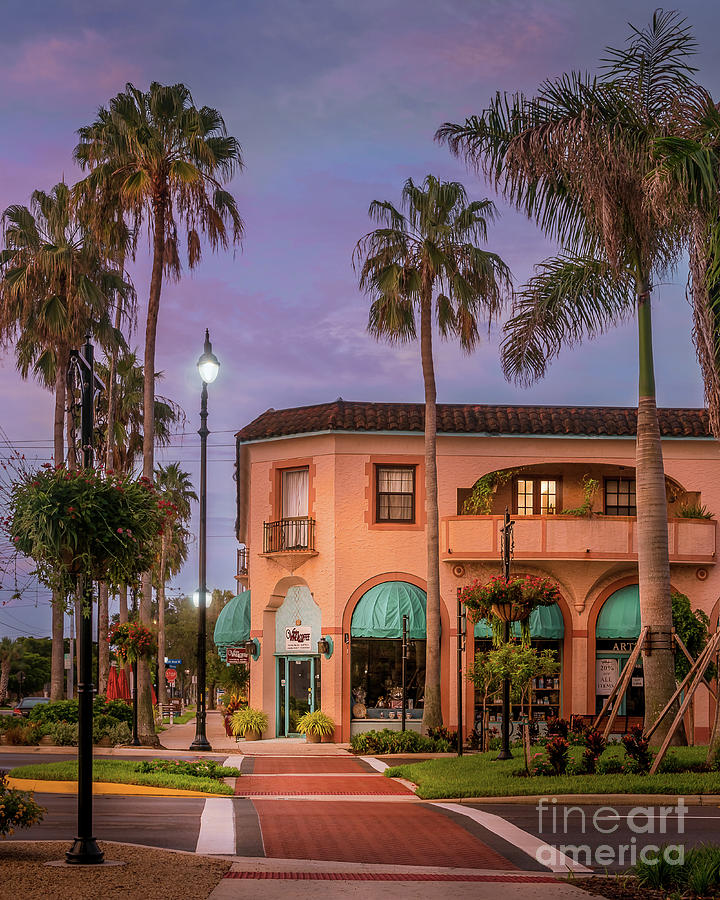 The Charm of Venice, Florida 4 Photograph by Liesl Walsh - Fine Art America