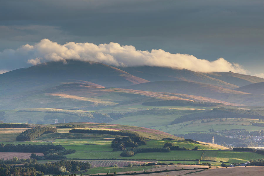 The Cheviot Foothills at sunset Photograph by Anita Nicholson