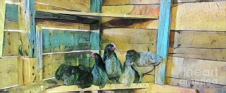 The Chipper Chicks by Shelly Crutchley