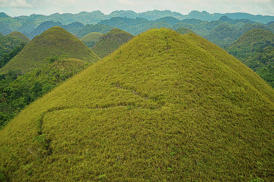 The Chocolate Hills Photograph by Karina Quintans | Pixels