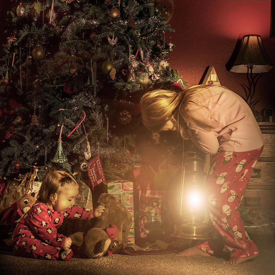 The Christmas Find Photograph by Ed Peterson