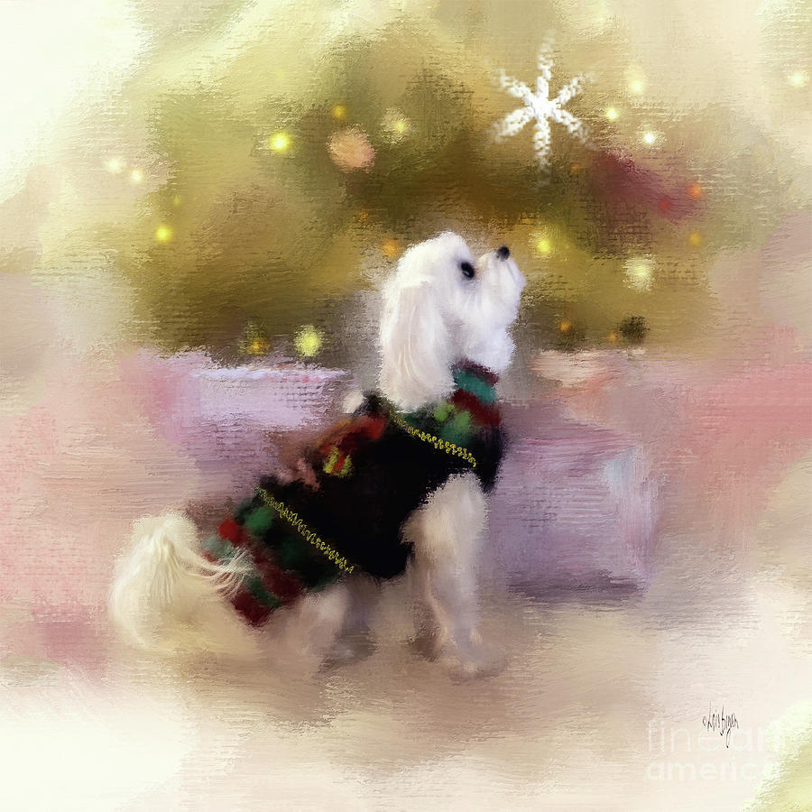 Christmas Digital Art - The Christmas Star by Lois Bryan