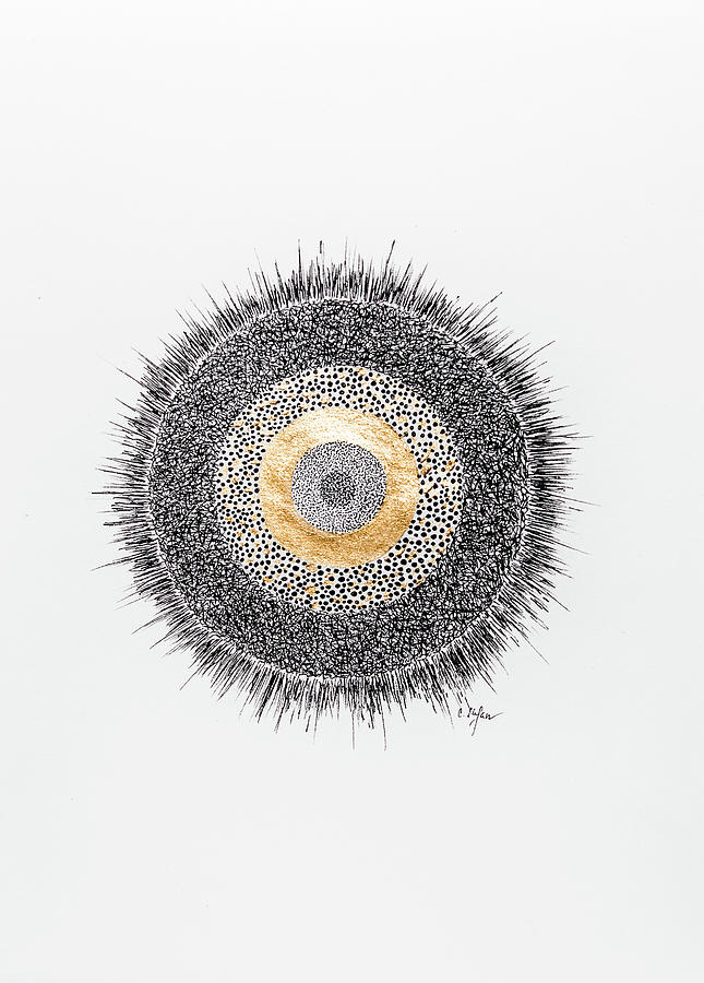 The circle - mixed media art Drawing by Cristina Stefan