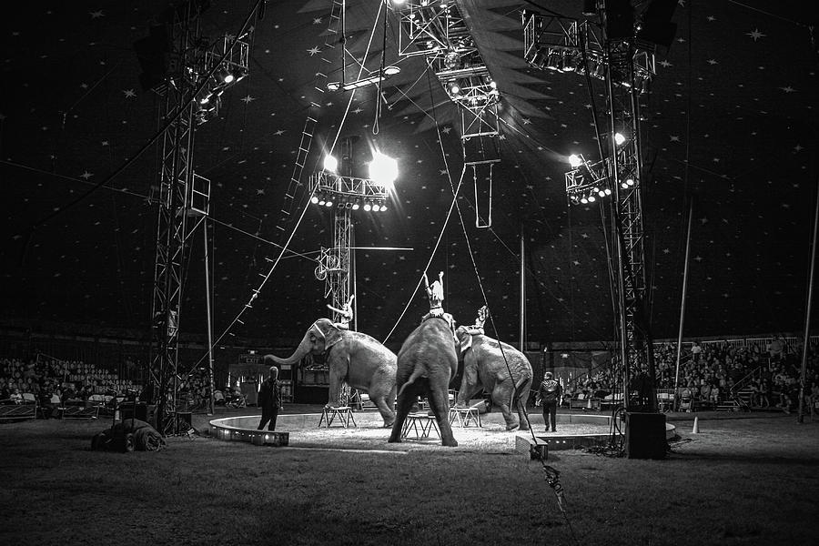 The Circus Photograph by Sally Bauer