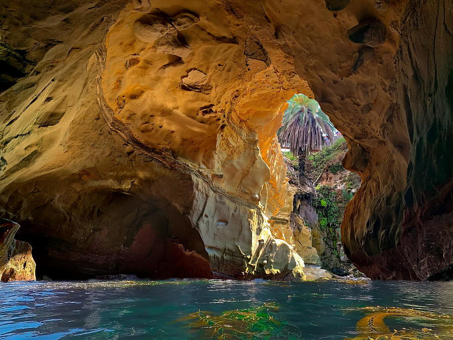 The Clams Sea Cave - La Jolla Photograph by Russ Harris