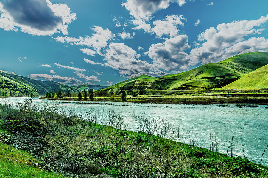 The Clearwater River Photograph by David Patterson