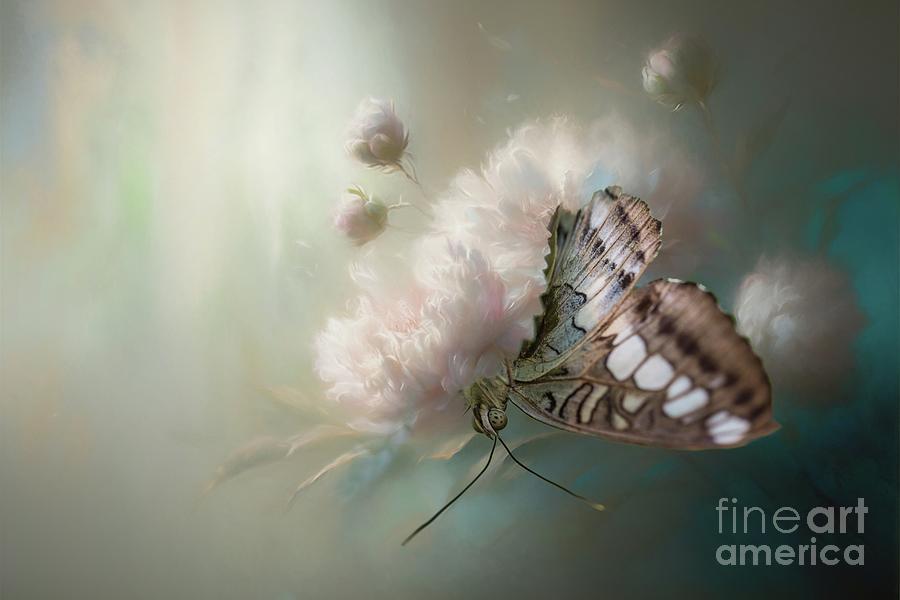 Butterfly Photograph - The Clipper Hidden by Eva Lechner