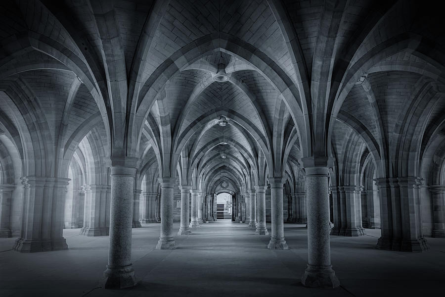 The Cloisters Photograph by Adam West