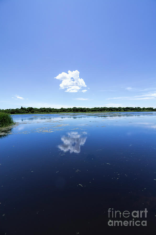 Clouds Photograph - The Clouds And The Lake by Felix Lai Clouds Photograph - The Clouds And The Lake by Felix Lai