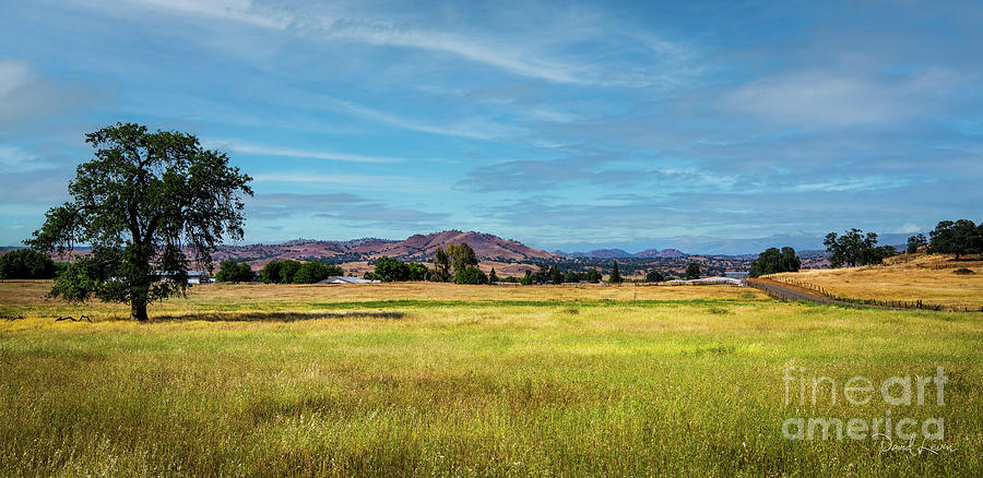 The Clovis Countryside Photograph by David Levin
