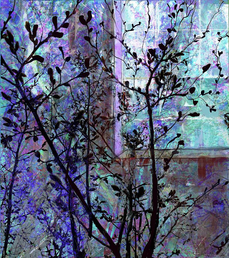The Cold Window Digital Art by Suki Michelle