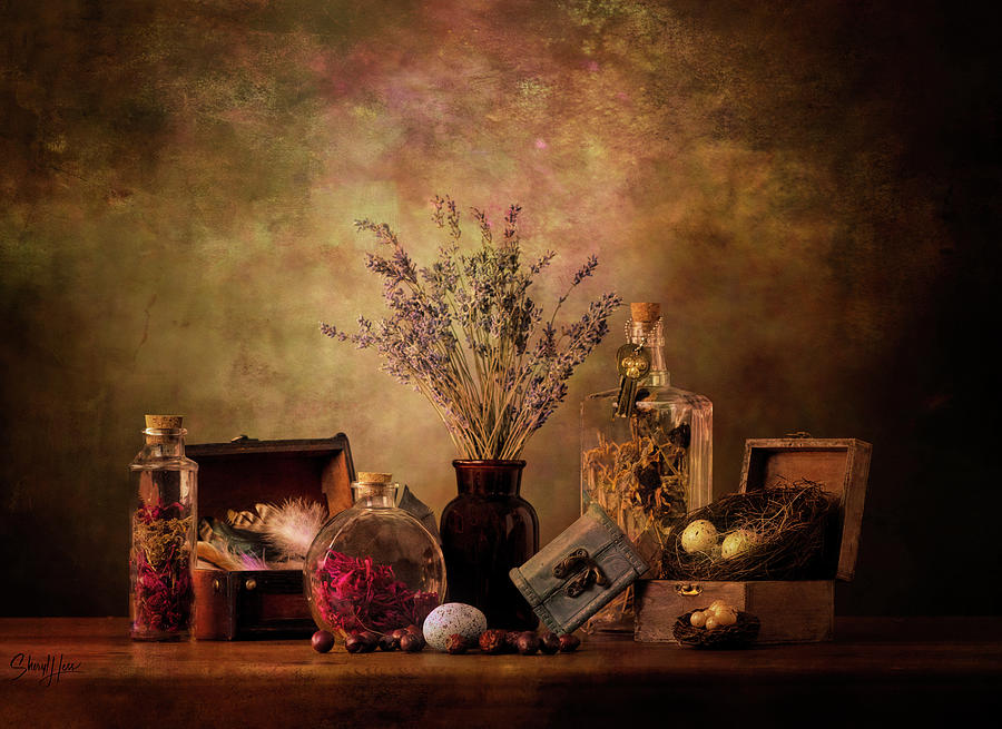 The Collector Photograph by Sheryl Hess - Fine Art America