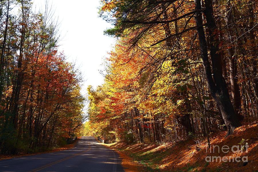 The Color of Finger Lakes Roads Photograph by Tony Lee