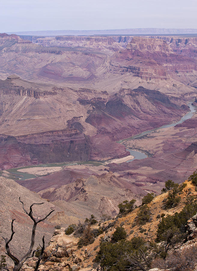 The Colorado River and Grand Canyon--Desert View, South Rim, Arizona Photograph by Ed Reschke