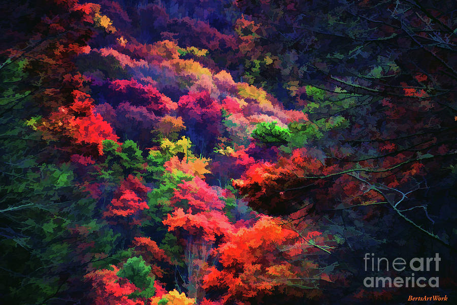 The Colorful Forest Photograph by Roberta Byram