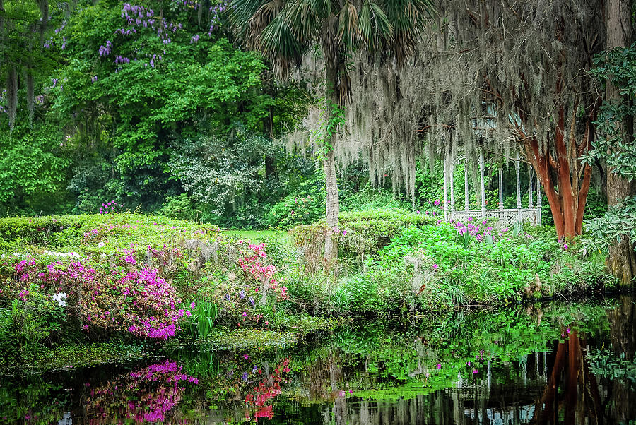 The colorful Magnolia Plantations and Gardens in the spring in ...