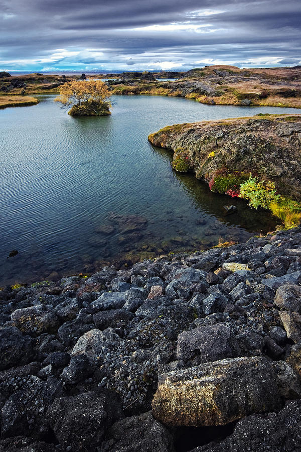 The colorful side of Myvatn Photograph by Daniele Carotenuto Photography