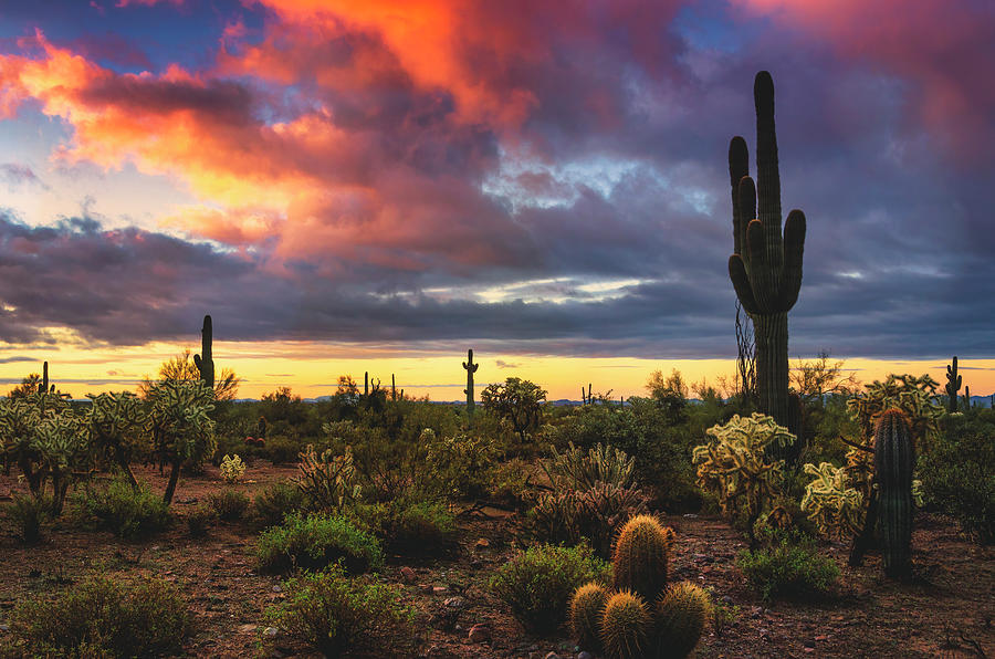 The Colors Of A Desert Dawn Photograph by Saija Lehtonen - Fine Art America