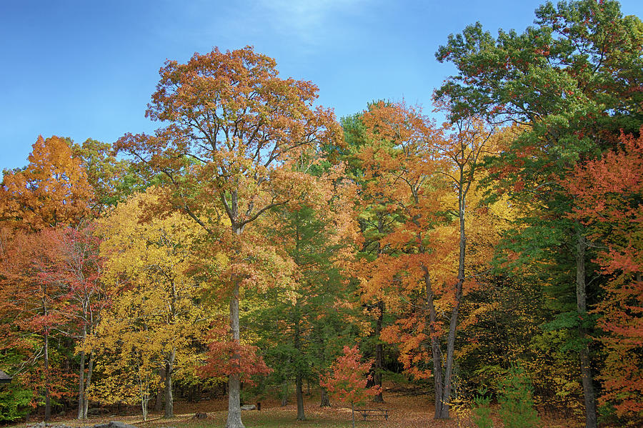 The Colors of Autumn Photograph by Eleanor Bortnick - Fine Art America