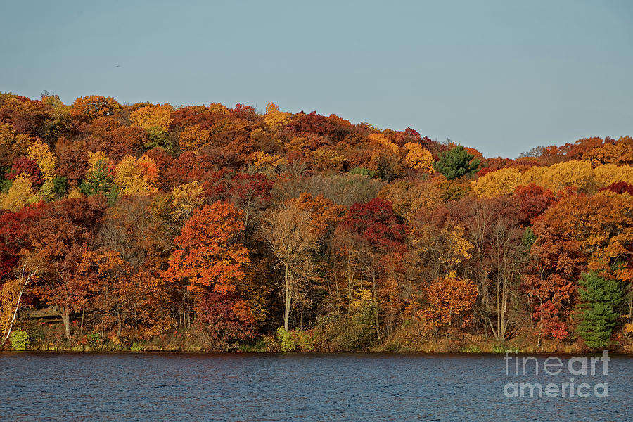 The Colors of Autumn Photograph by Natural Focal Point Photography