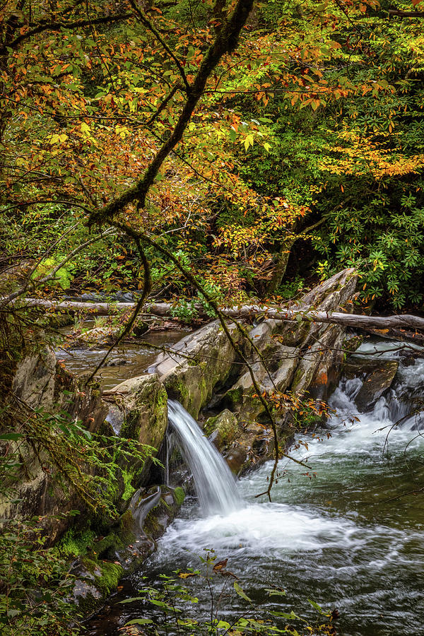 The Colors of Fall Smoky Mountain Waterfall Photograph by Debra and Dave Vanderlaan