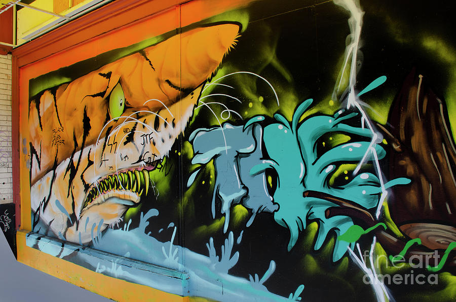 The Colors Of Graffiti 2 Photograph by Bob Christopher