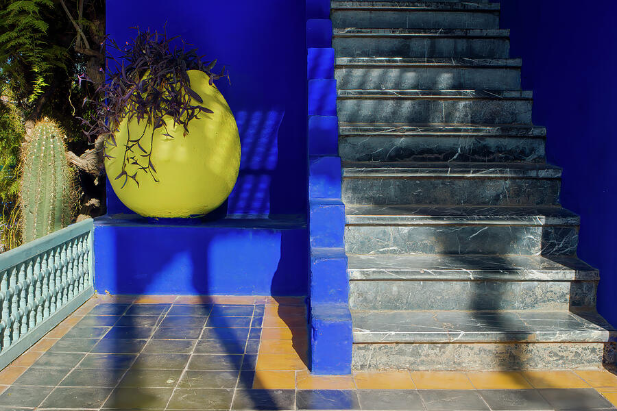 The Colors of Majorelle Gardens Photograph by Bill Chardon The Colors of Majorelle Gardens Photograph by Bill Chardon