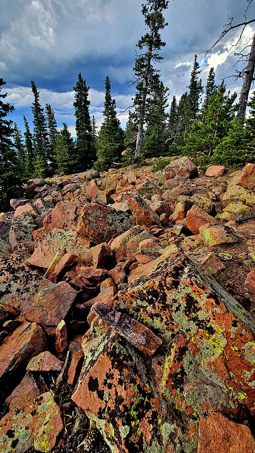 The Colors of Pikes Peak Photograph by Ray Mathis