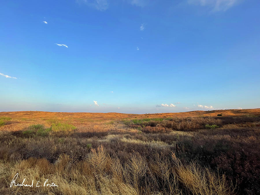 The Colors of Spring - Motley County, Texas - 04-21-22 Photograph by Richard Porter