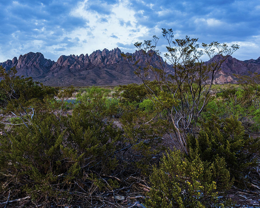 The Colors of the Desert Photograph by Monica Guidi - Fine Art America