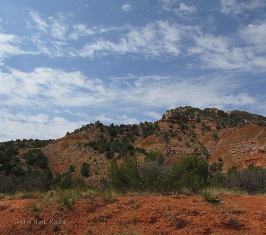 The Colours of Palo Duro Canyon Photograph by Tambra Nicole Kendall