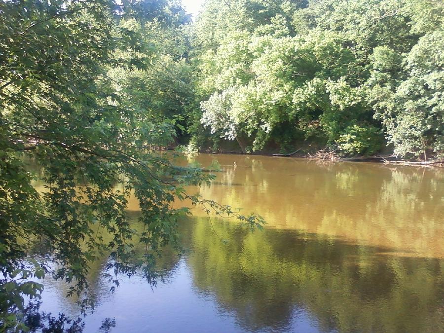 The Conestoga River after a rain fall Photograph by Derrick L