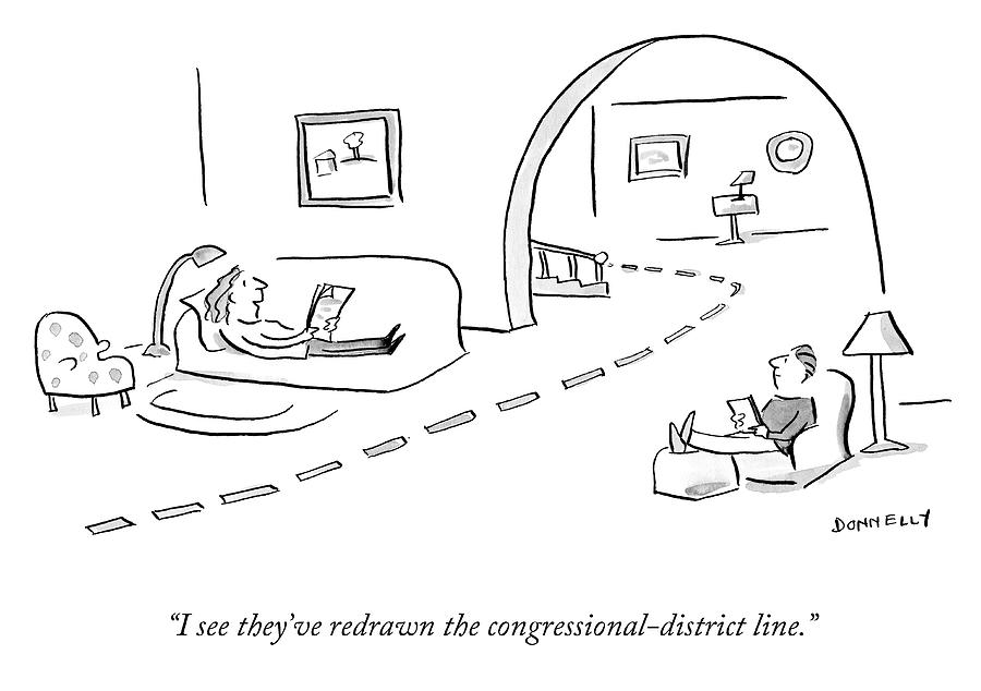 The Congressional District Line Drawing by Liza Donnelly
