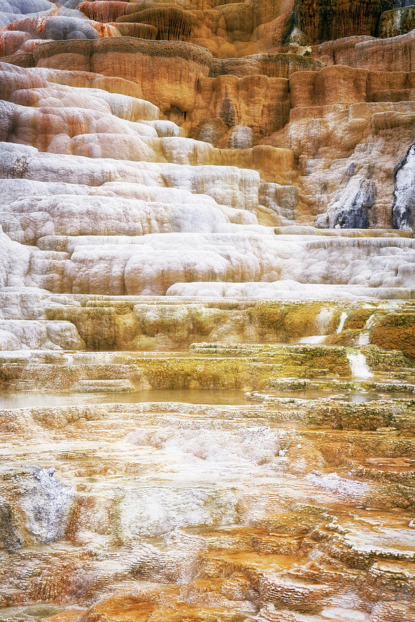 The Constantly Changing Shapes Of The Travertine Terraces At Mammoth