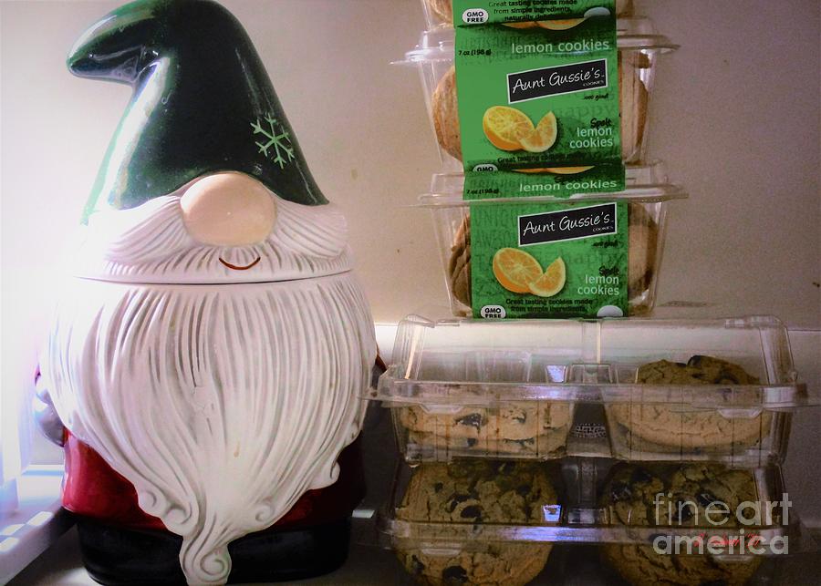 The Cookie Gnome Photograph by Denise F Fulmer