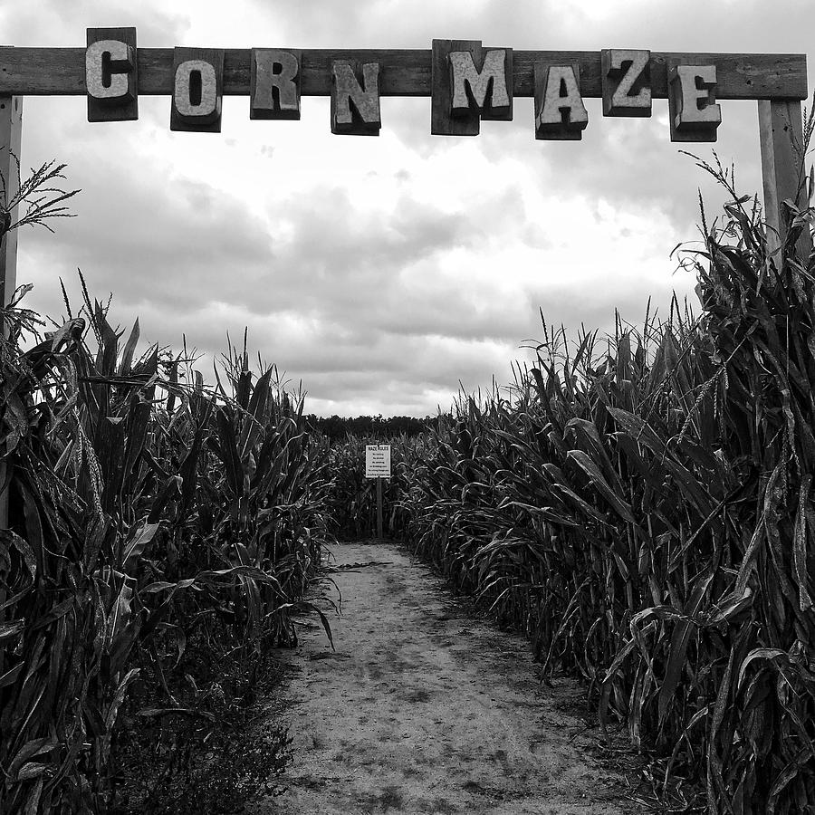 The Corn Maze Photograph By Matt Hecht