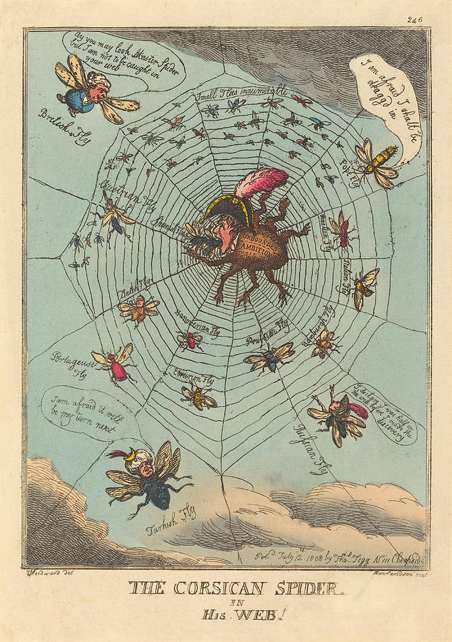 The Corsican Spider in his Web Drawing by Thomas Rowlandson