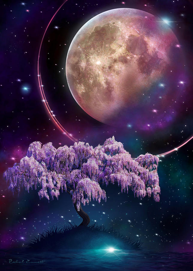 The Cosmos in Bloom Digital Art by Rachel Emmett