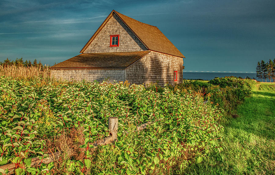 The Cottage By The Sea Photograph by Marcy Wielfaert