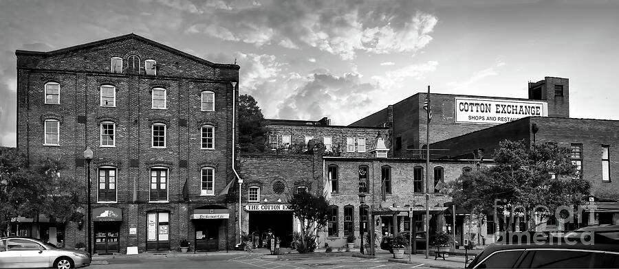 The Cotton Exchange in Black and White Photograph by Shelia Hunt