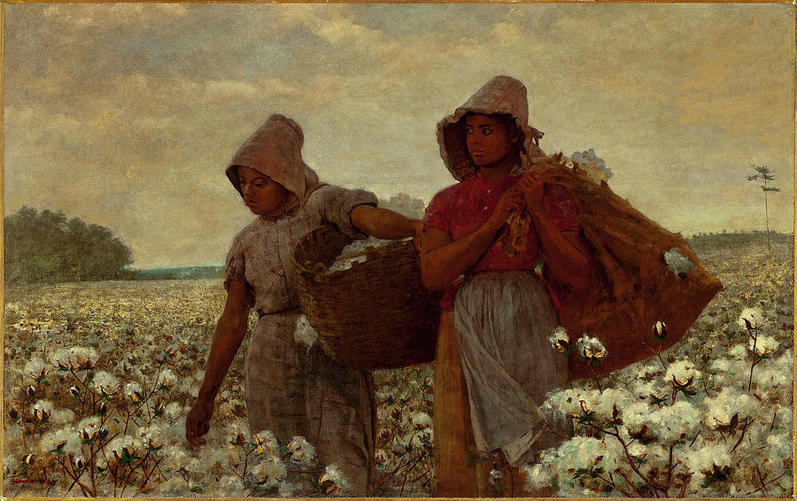 The Cotton Pickers Photograph by Paul Fearn