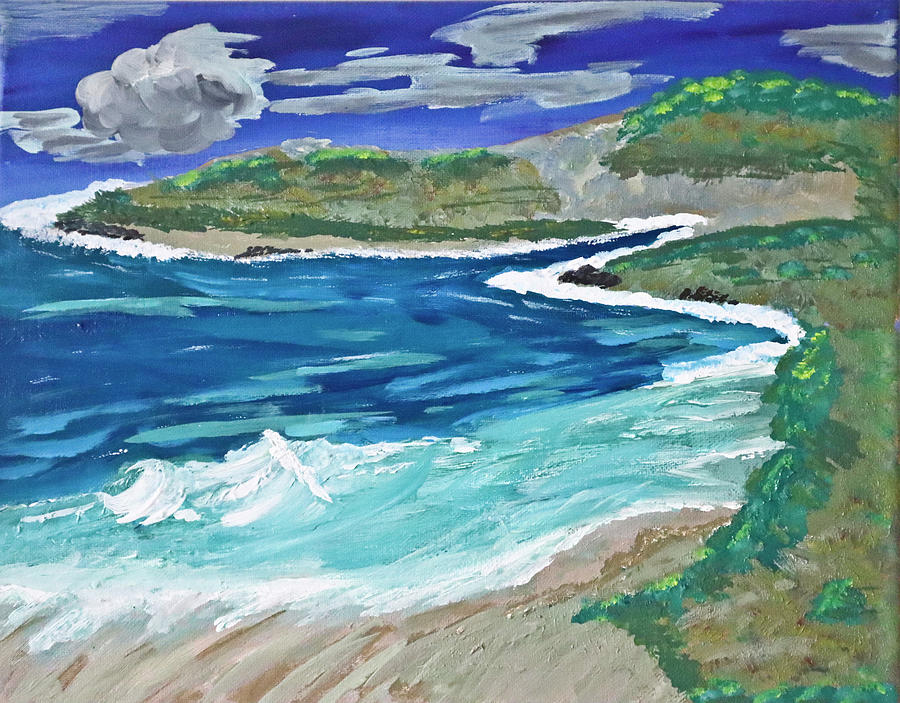 The Cove At Pebble Beach Painting