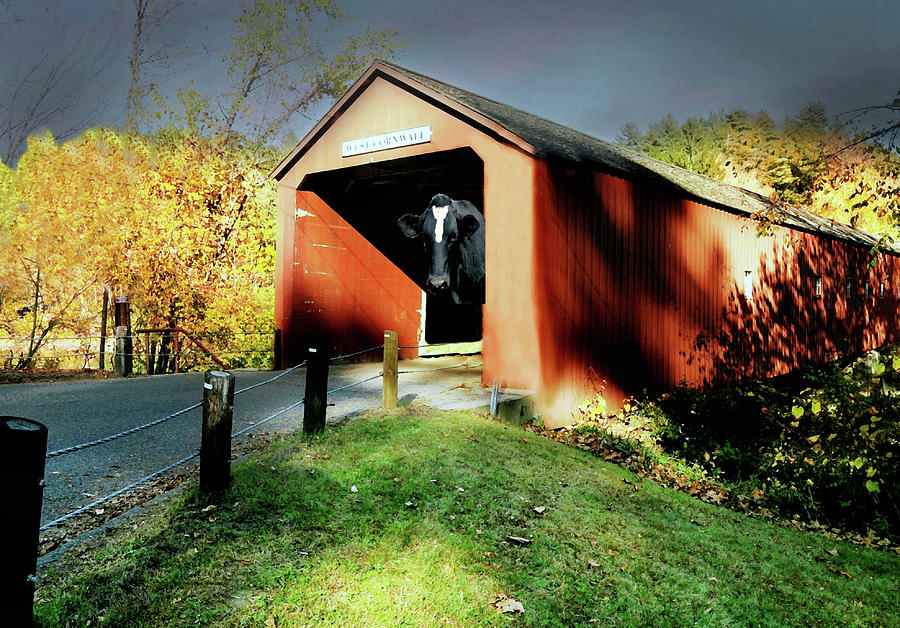 The Covered Bridge Photograph by Diana Angstadt