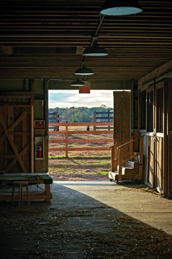 The Cow Barn Photograph by Brian Wallace